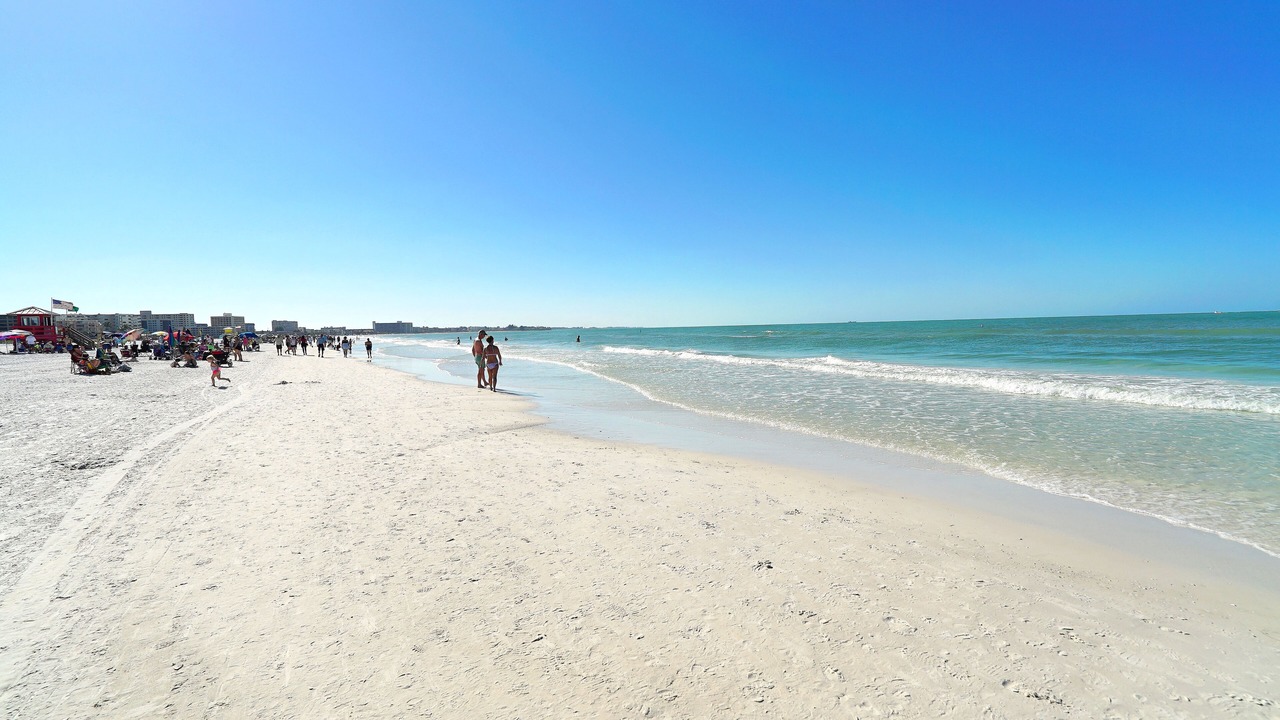 Photo of Others in South Sarasota