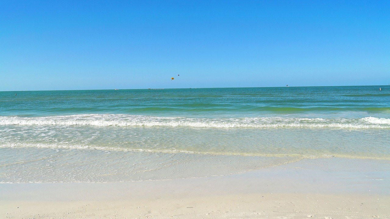 Photo of Others in South Sarasota