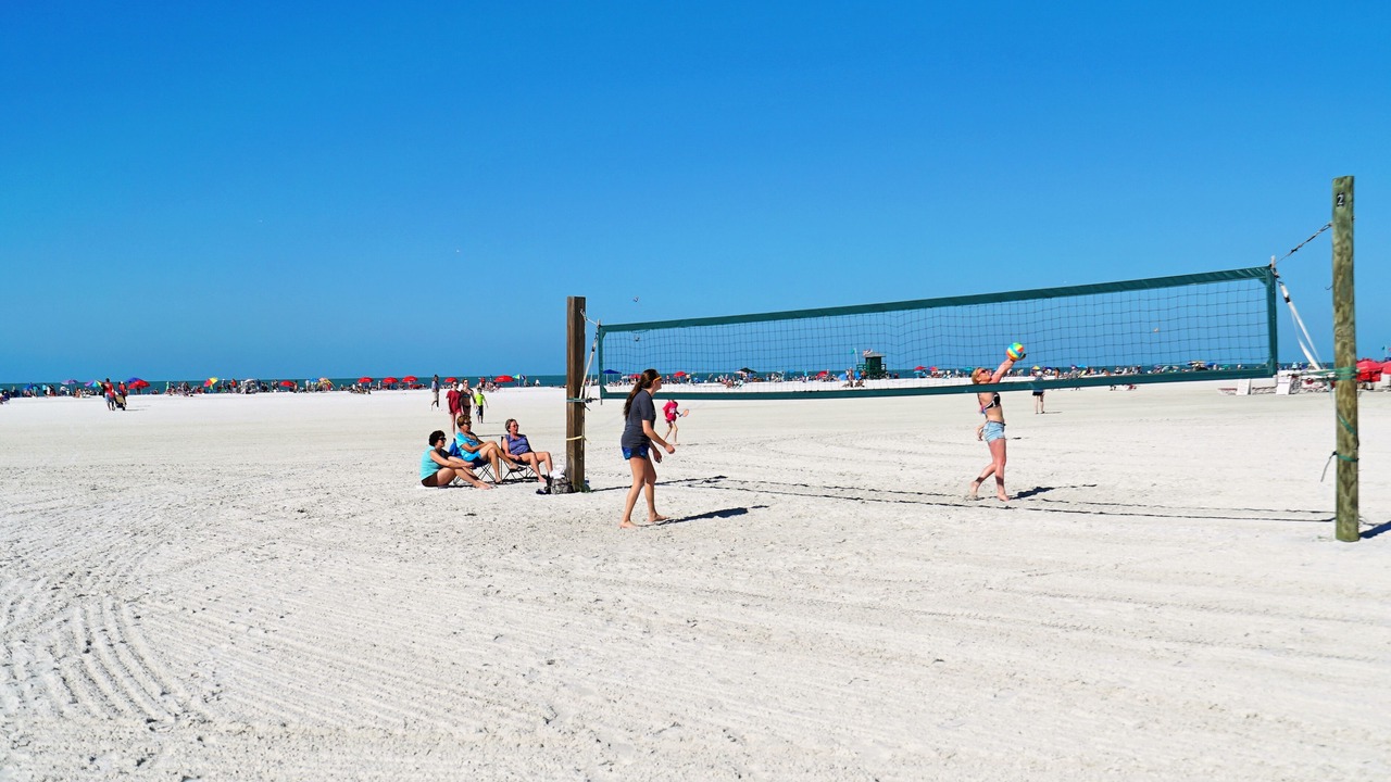 Photo of Others in South Sarasota