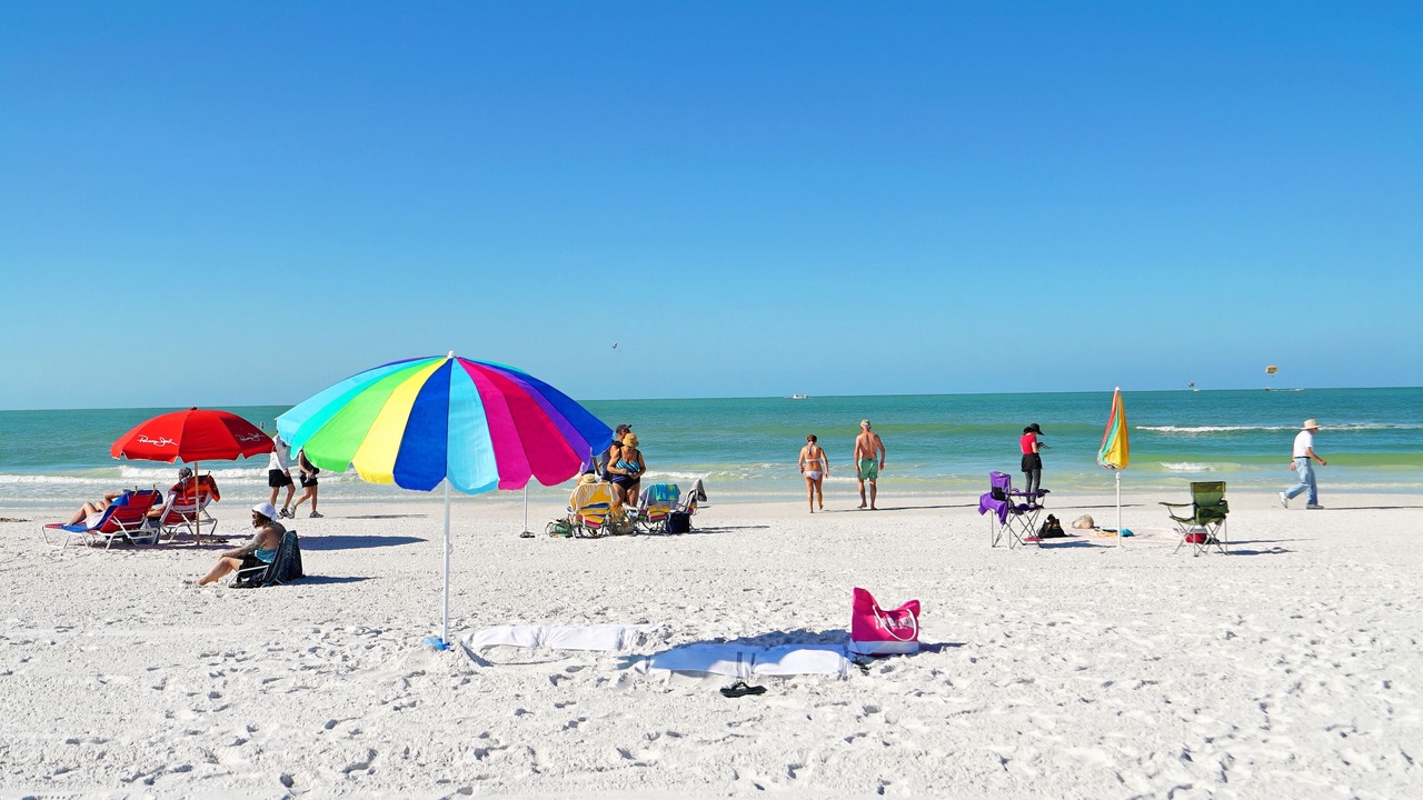 Photo of Others in South Sarasota