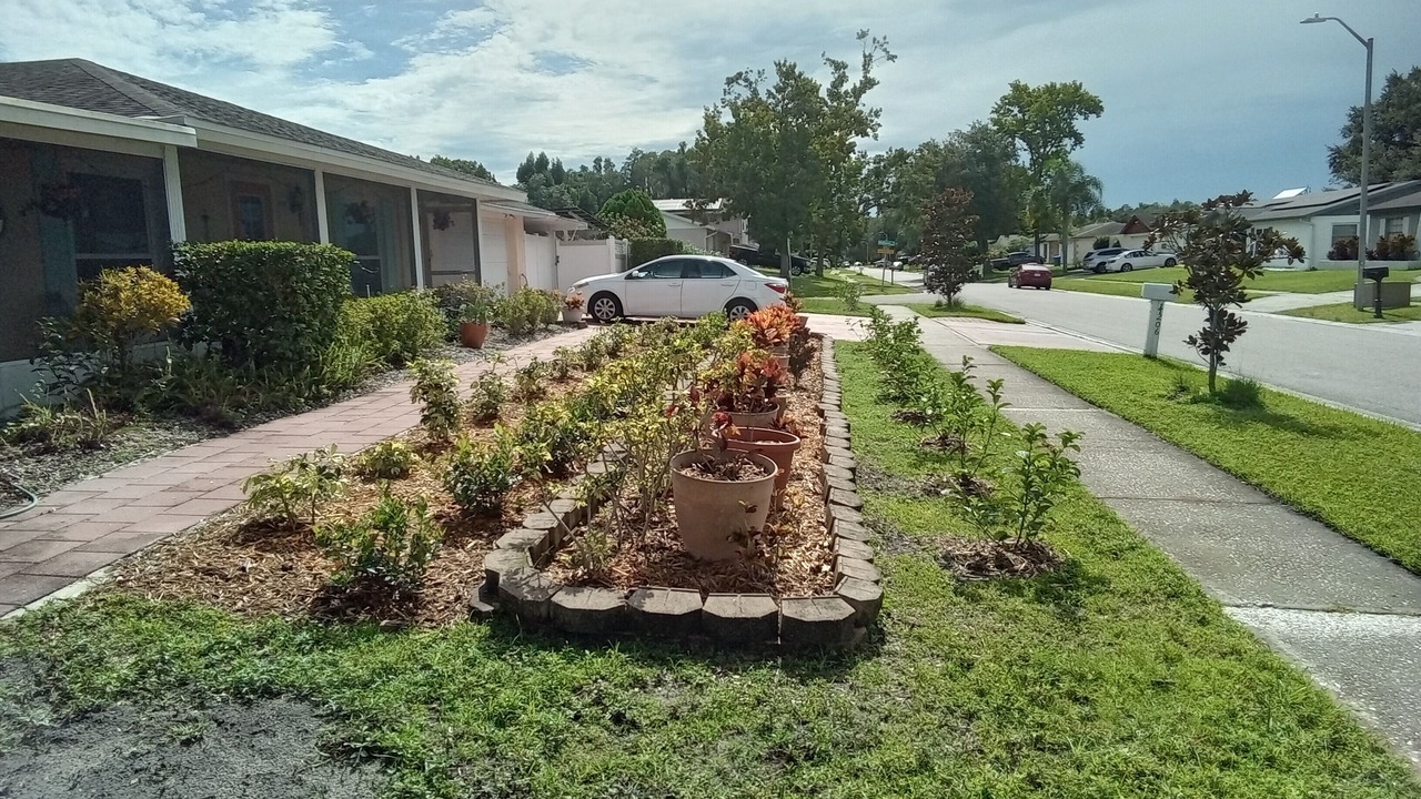 Photo of Others in Greater Northdale