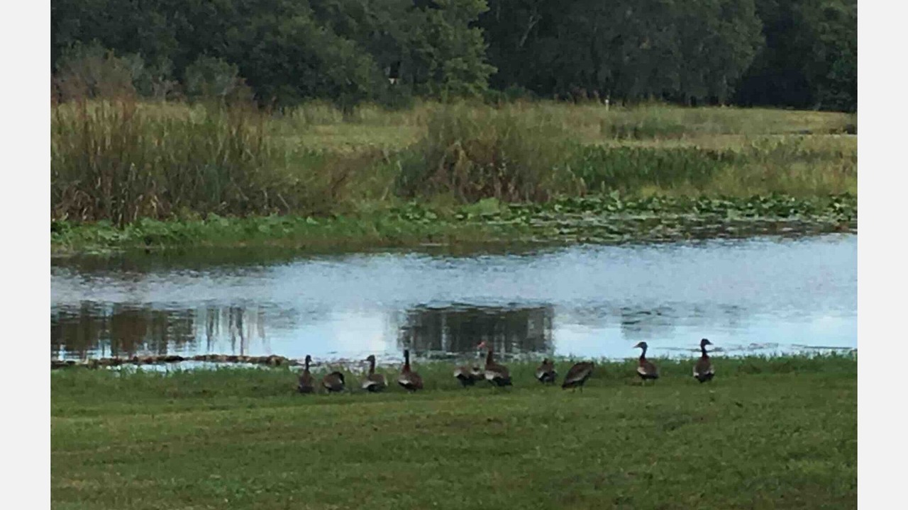 Photo of Others in Hernando