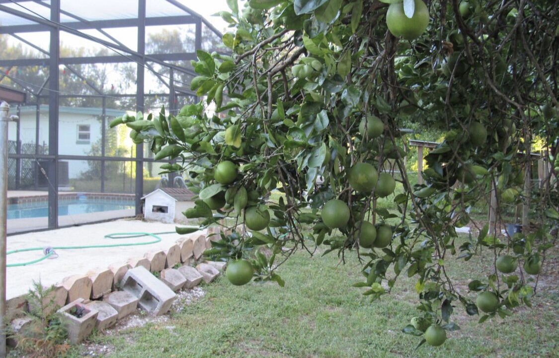 Photo of Outdoor in Sanford
