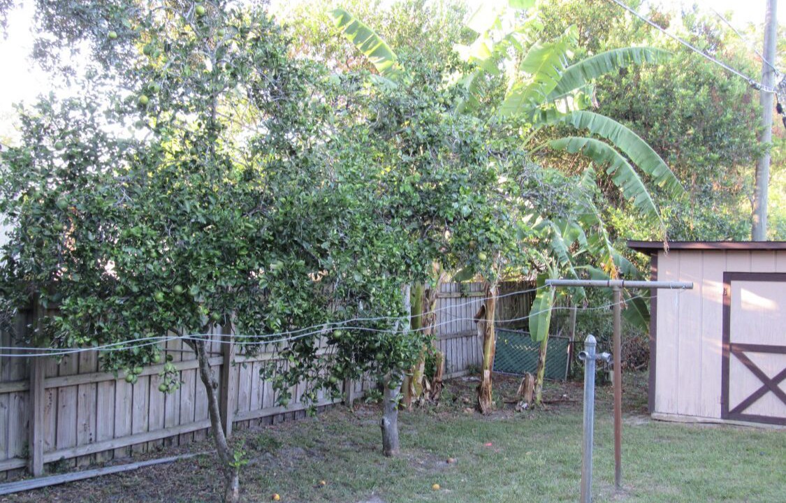 Photo of Outdoor in Sanford