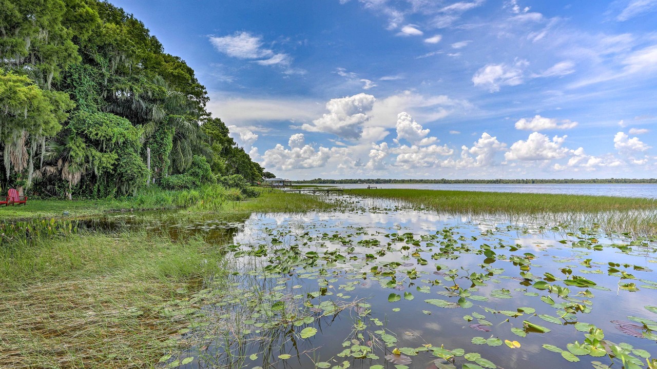 Photo of Others in Haines City