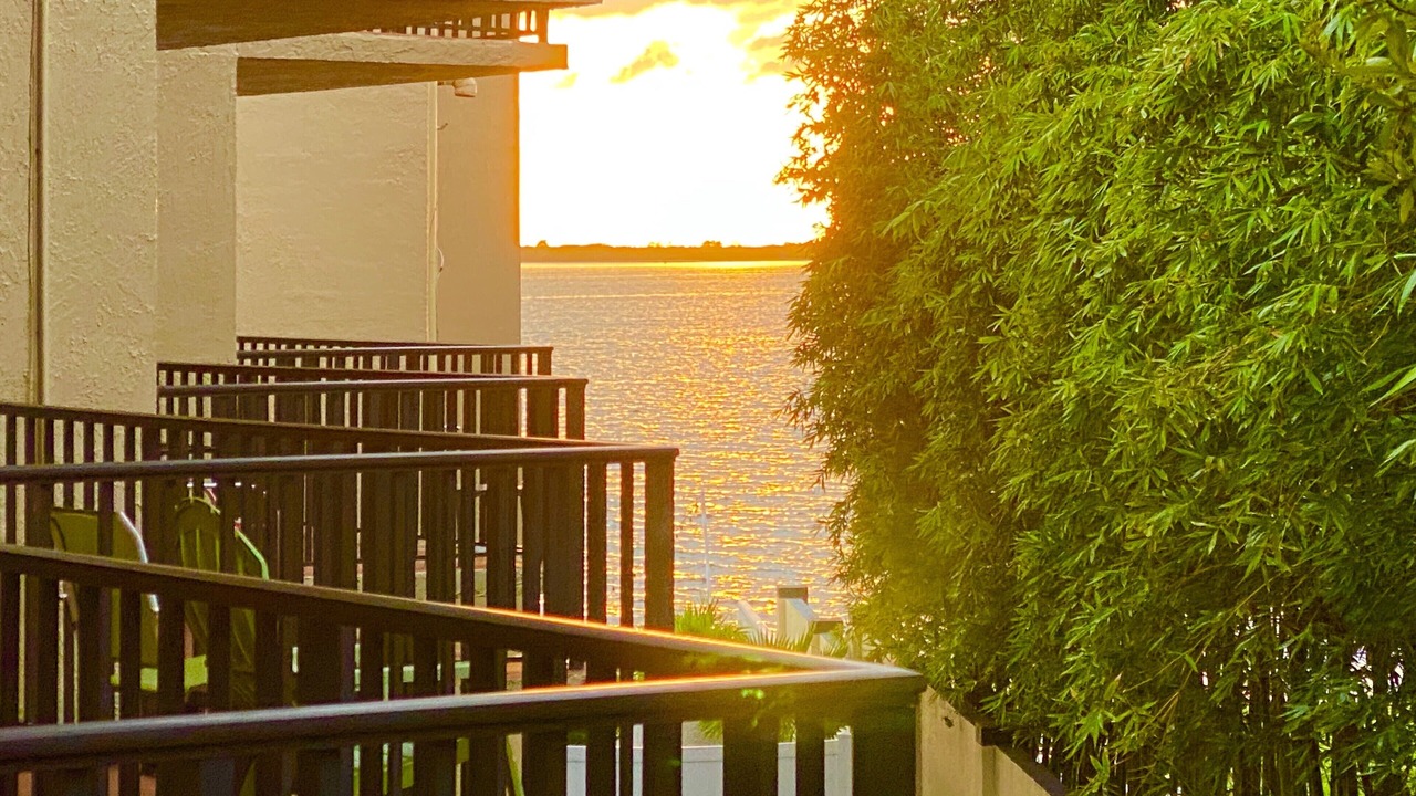Photo of Patio Balcony in Dunedin