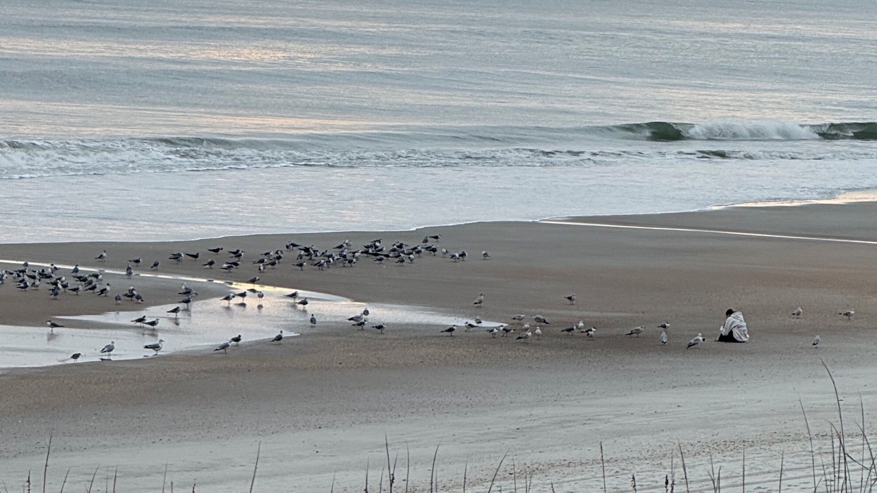 Photo of Others in Vilano Beach