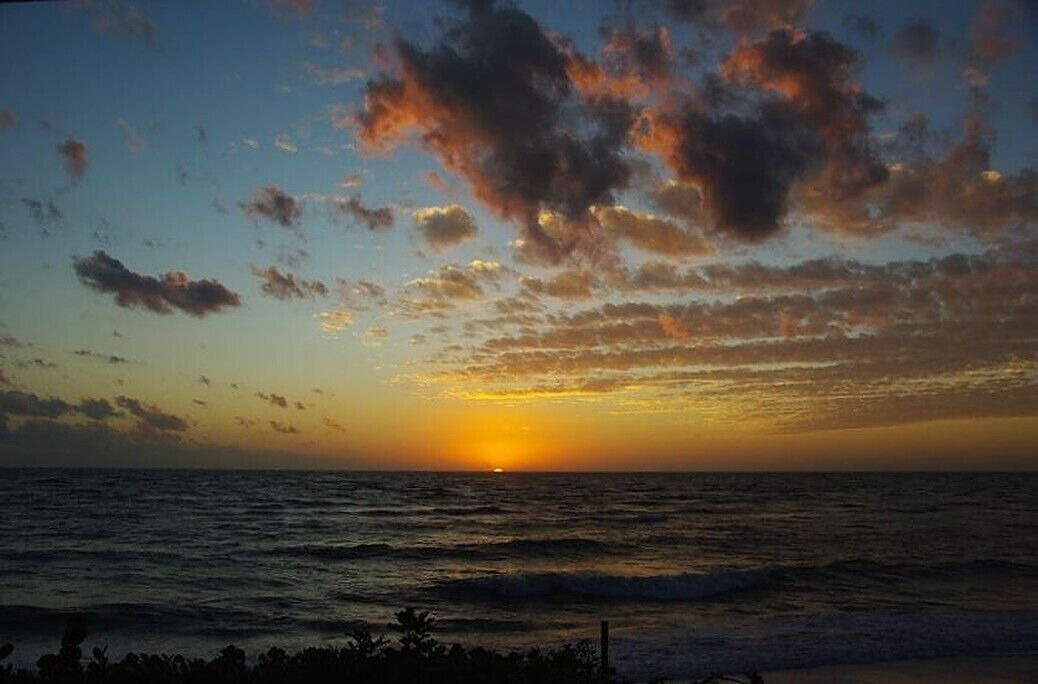 Photo of Others in Anna Maria