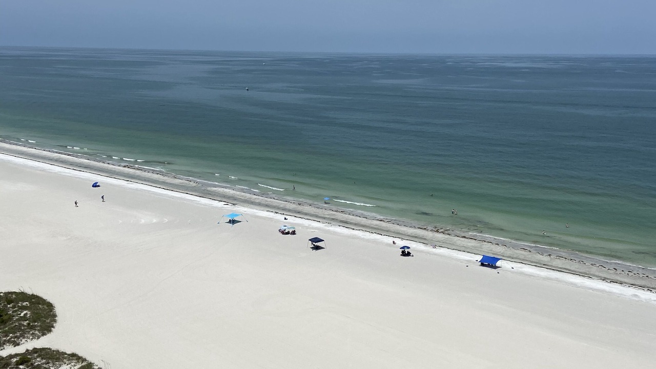 Photo of Others in Sand Key