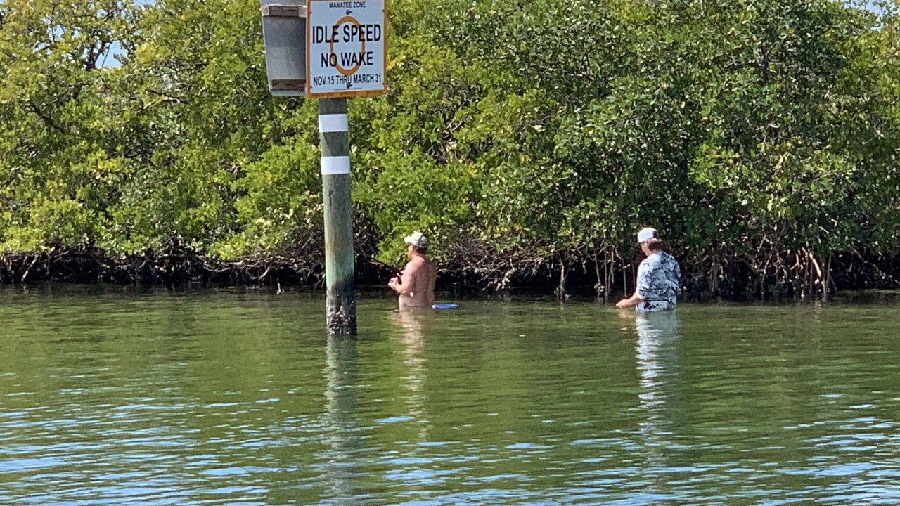 Photo of Outdoor in Apollo Beach