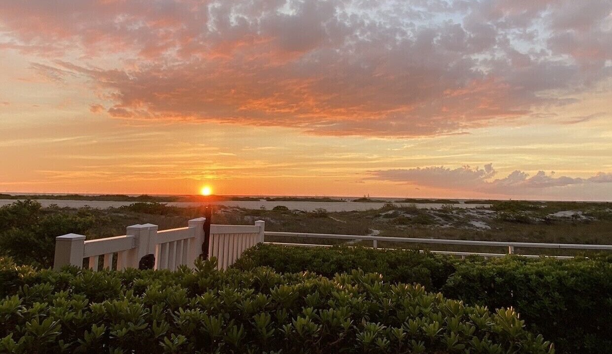 Photo of Outdoor in Sand Key