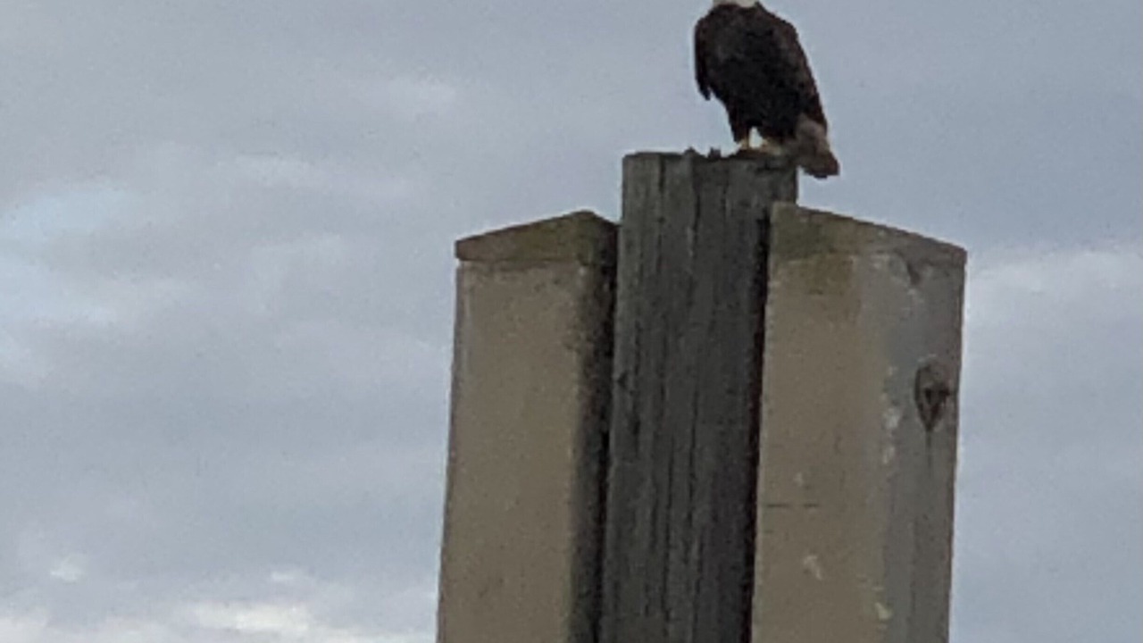 Photo of Others in St. Augustine