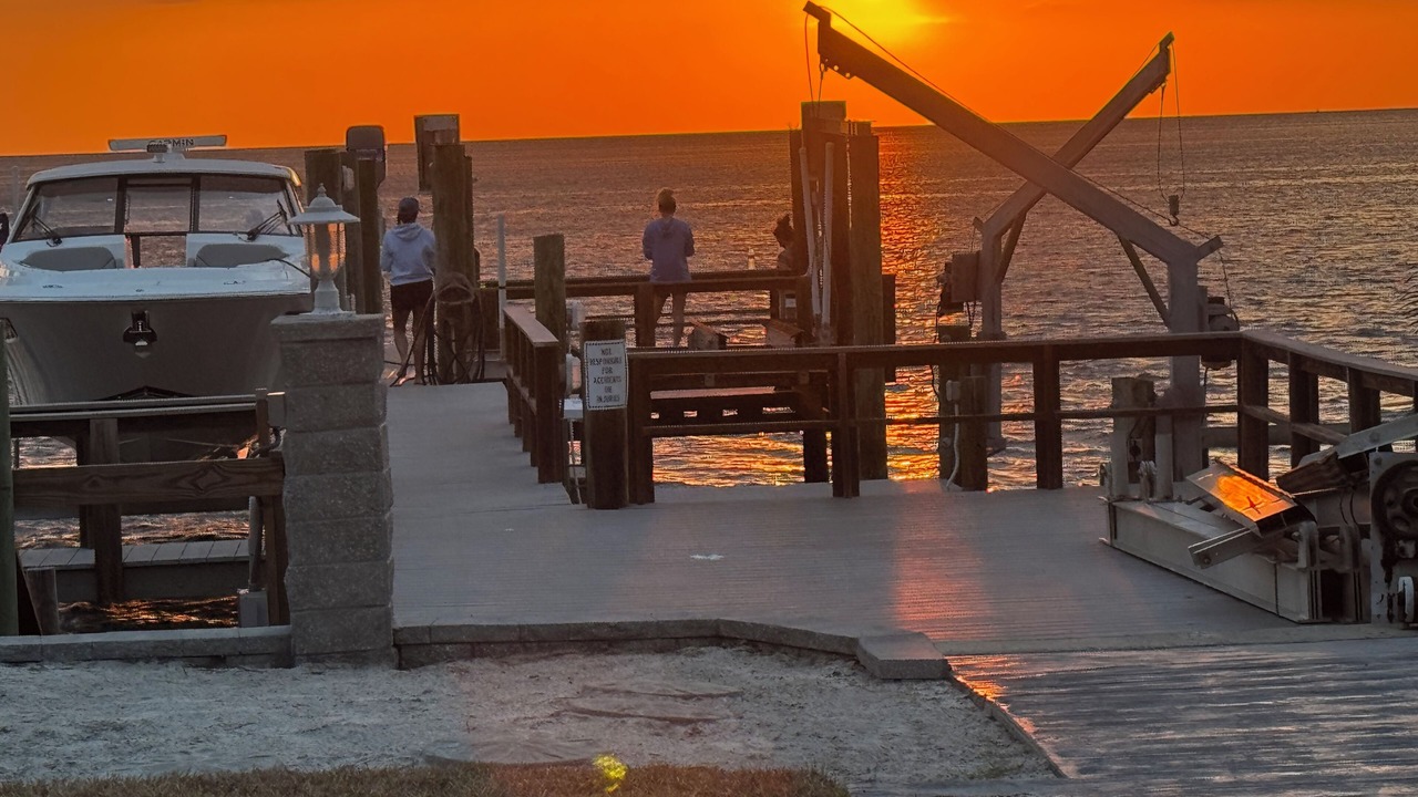 Photo of Others in Gulf Harbors