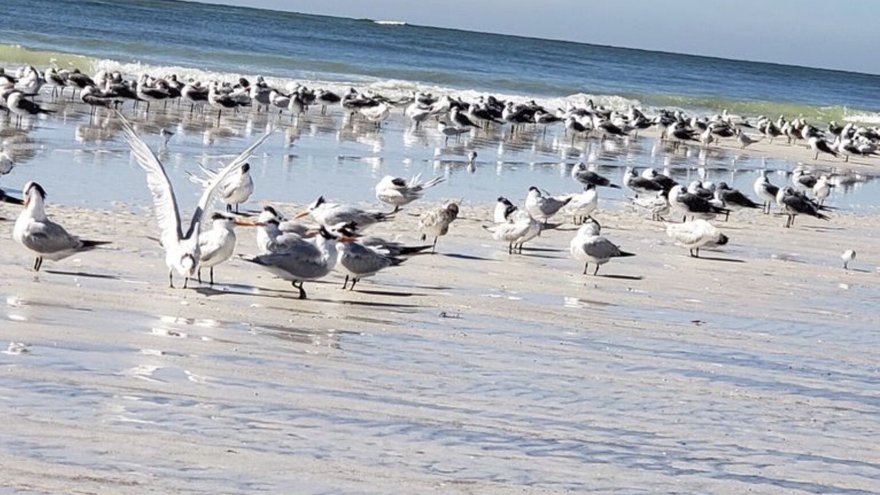 Photo of Others in Whitney Beach