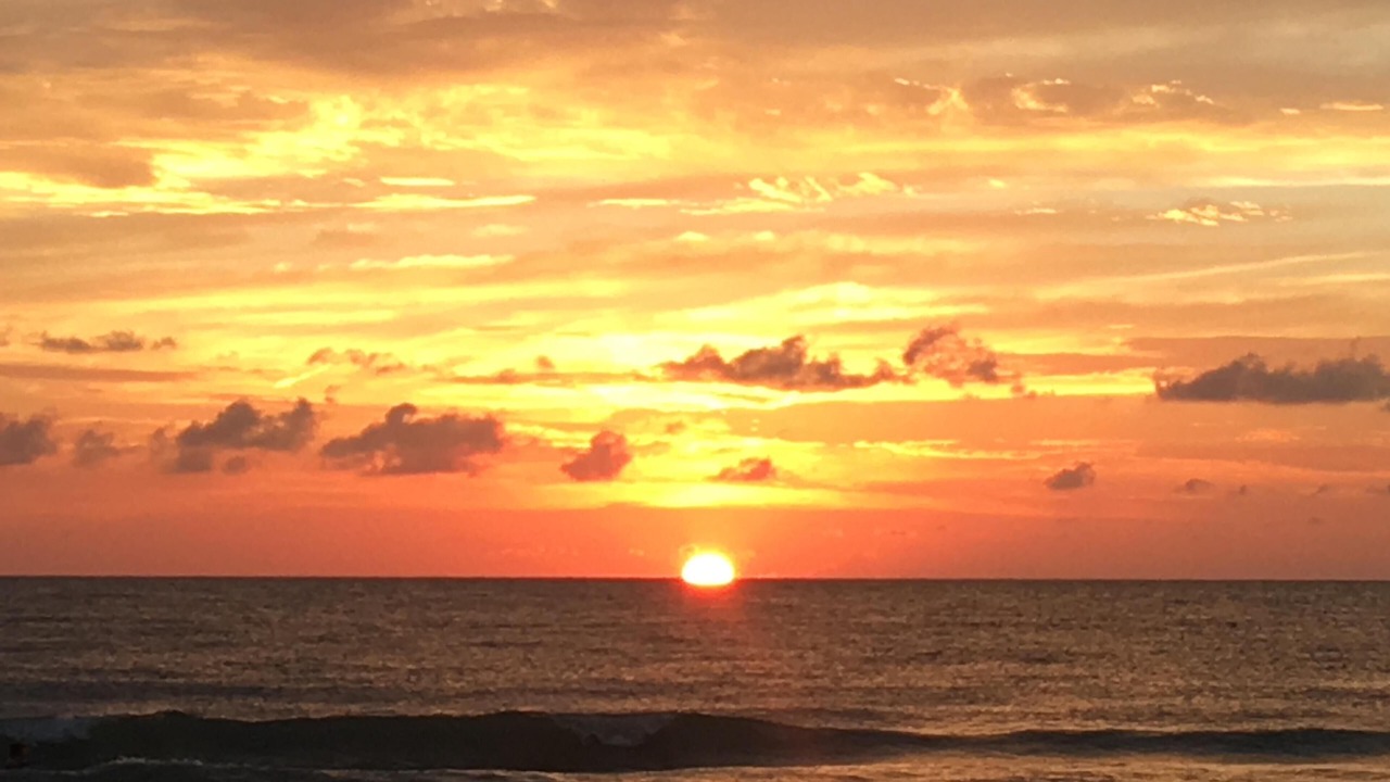 Photo of Others in Belleair Beach