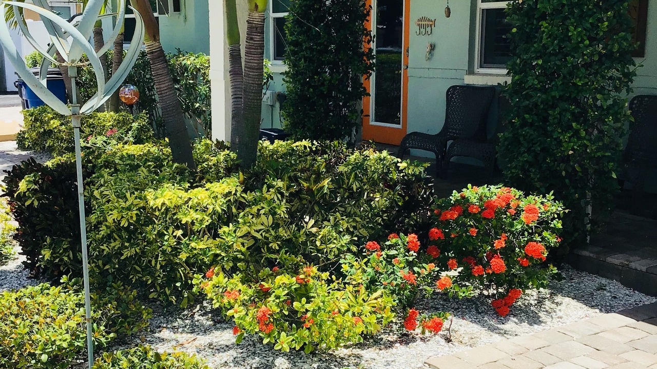 Photo of Outdoor in St. Pete Beach