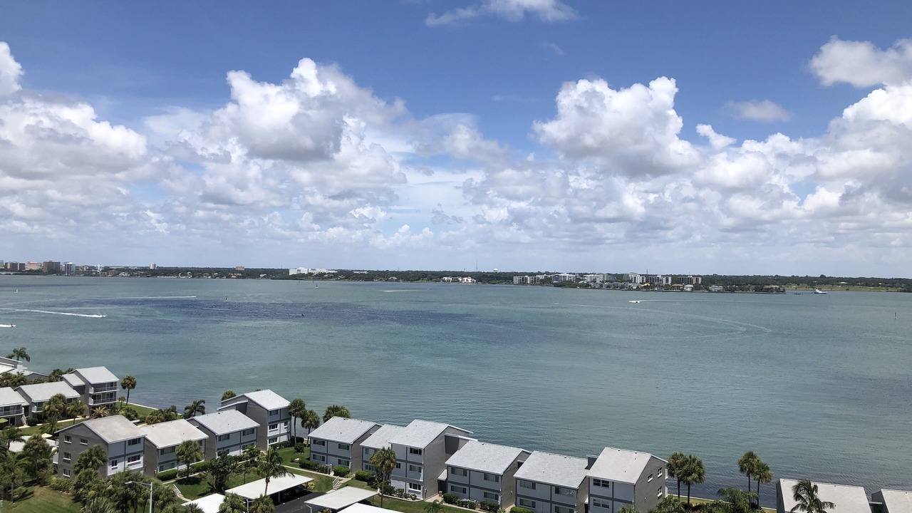 Photo of Others in Clearwater