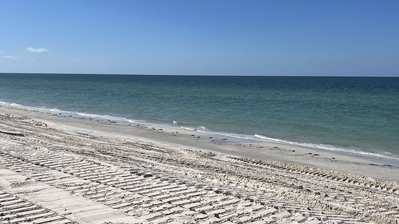 Photo of Others in Belleair Beach