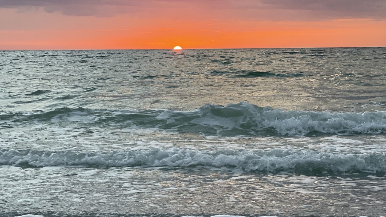 Photo of Others in Belleair Beach