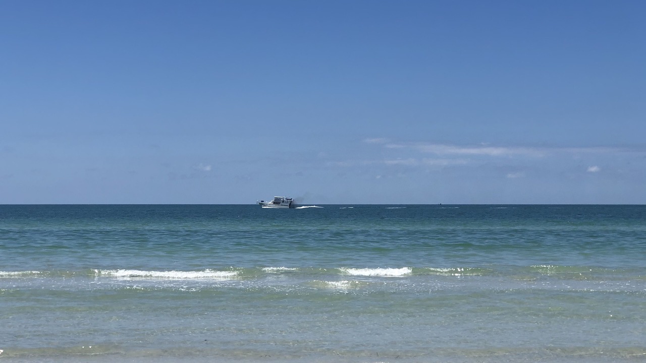 Photo of Others in Belleair Beach