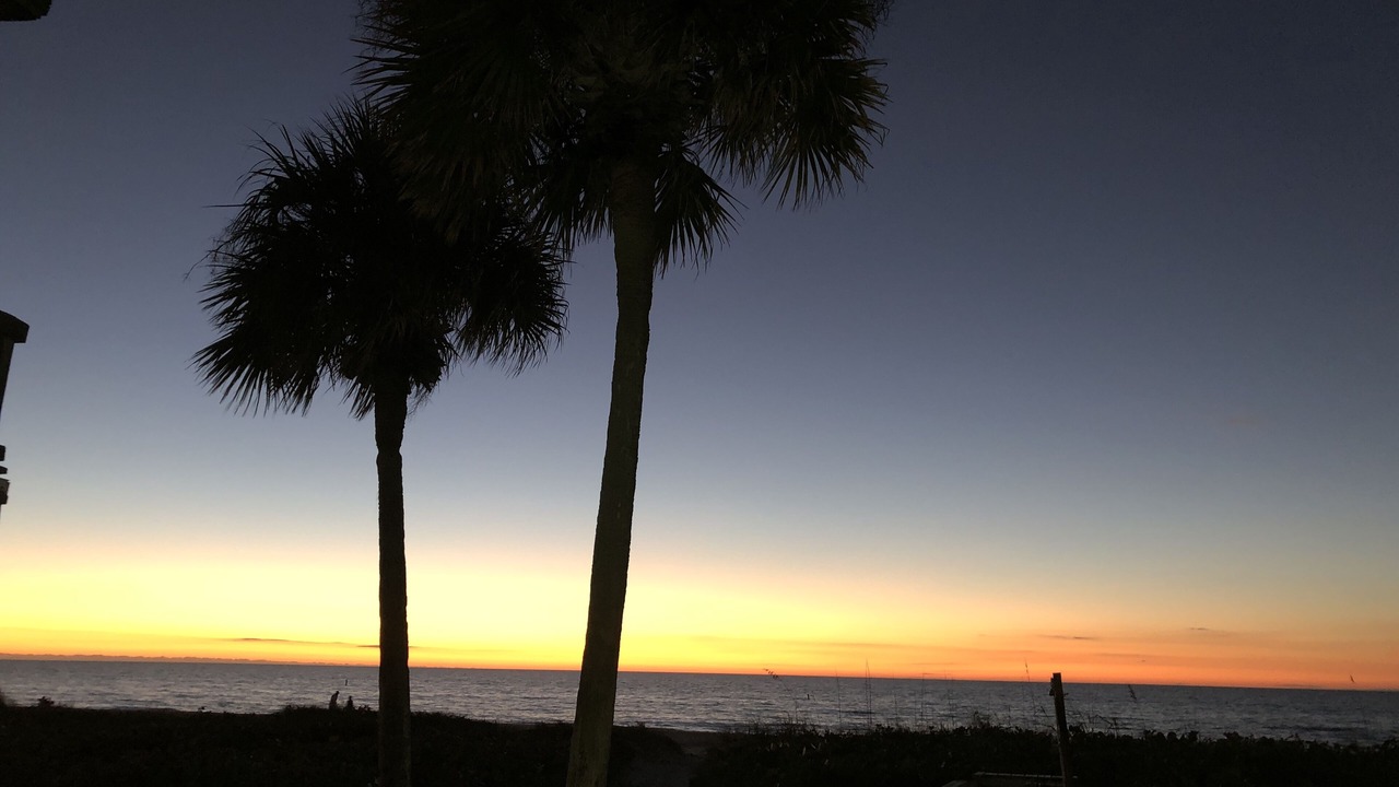 Photo of Others in Belleair Beach