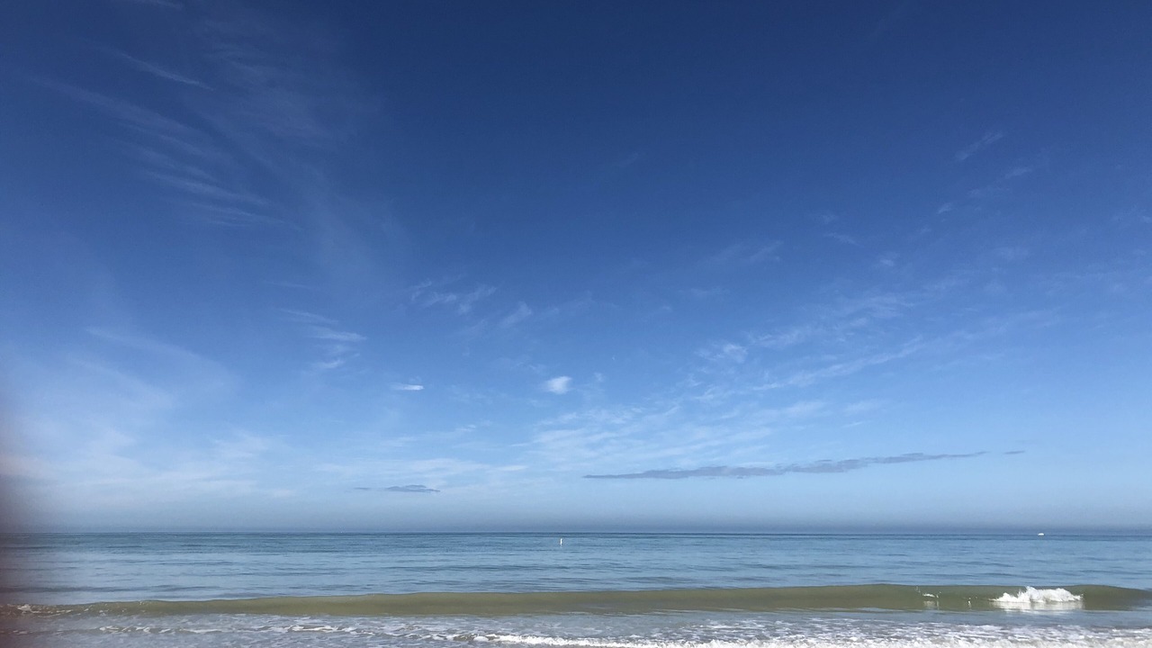 Photo of Others in Belleair Beach
