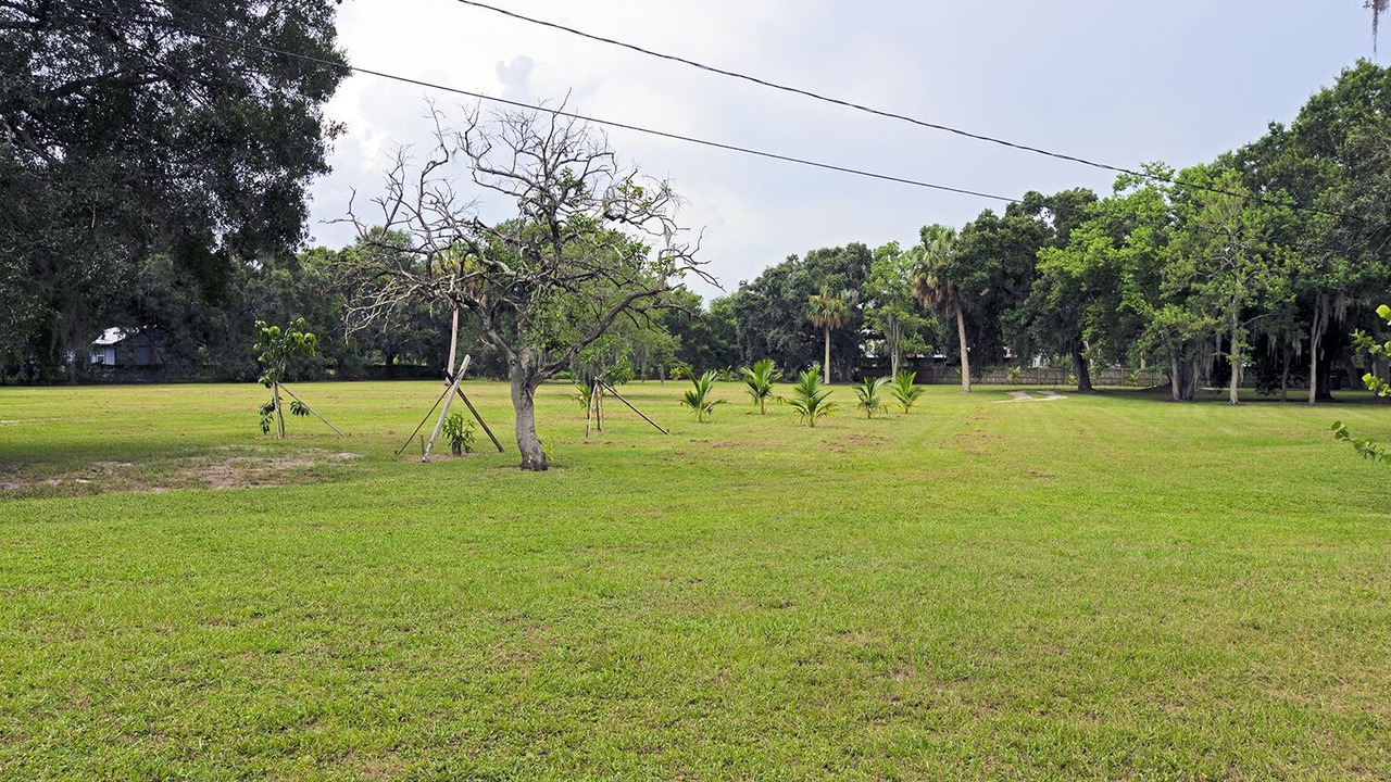 Photo of Others in Greater Palm River Point CDC
