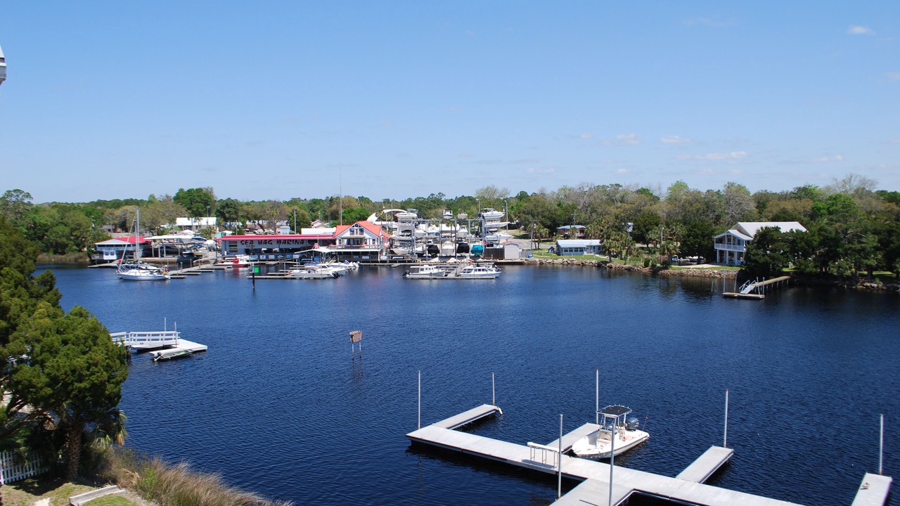 Photo of Others in Steinhatchee