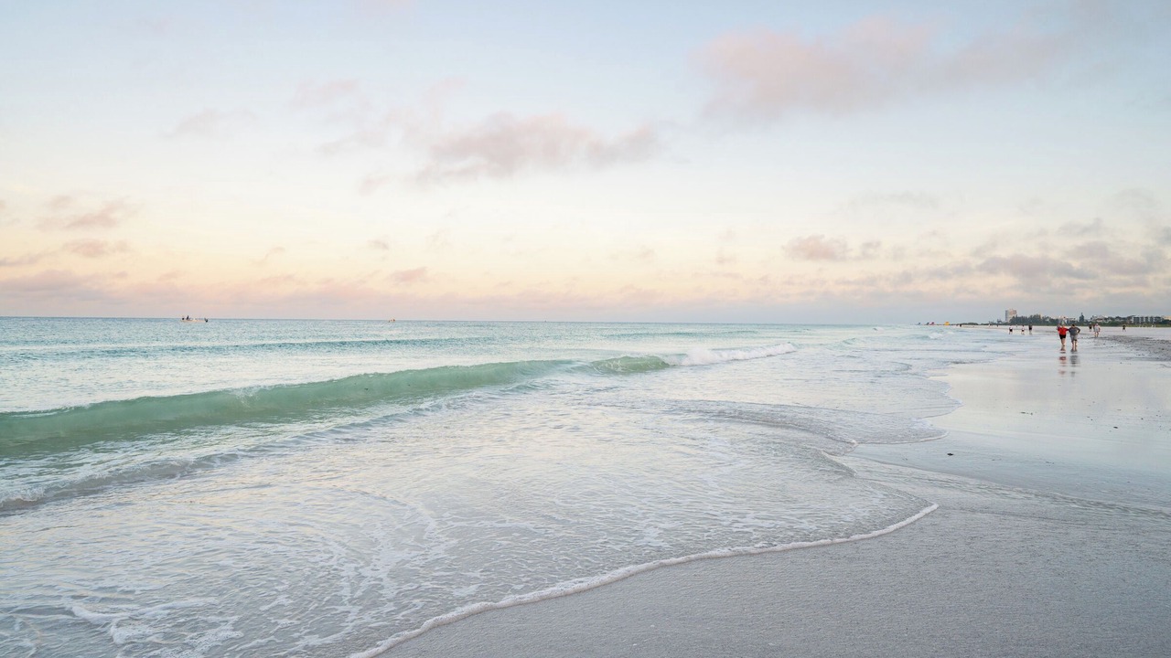 Photo of Others in Siesta Key