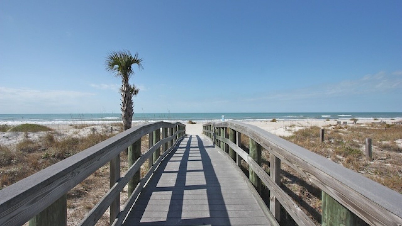Photo of Others in Indian Shores