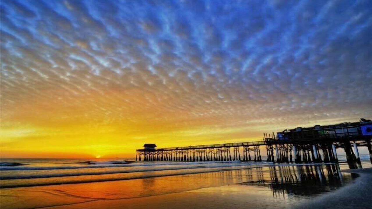 Photo of Others in Avon By The Sea