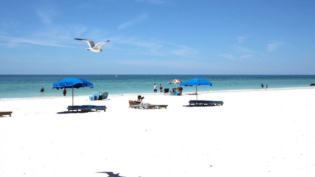 Photo of Others in Madeira Beach