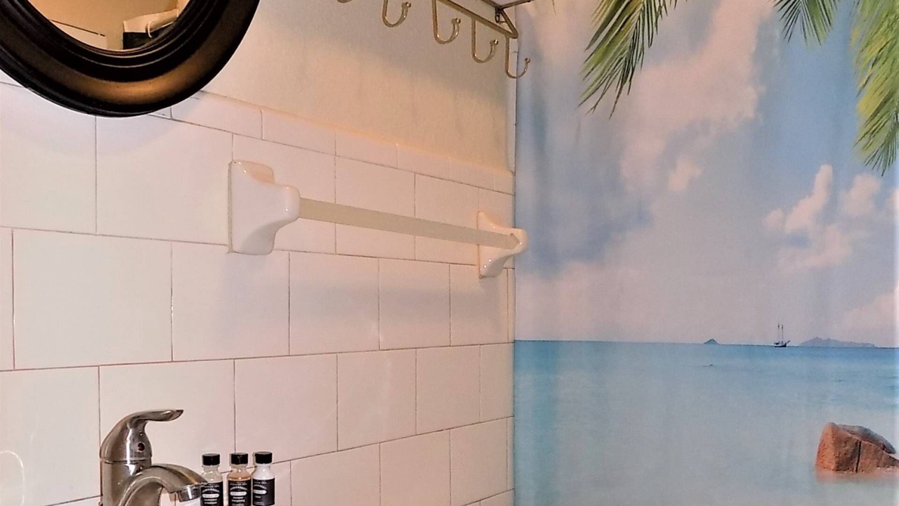Photo of Bathroom in Redington Beach