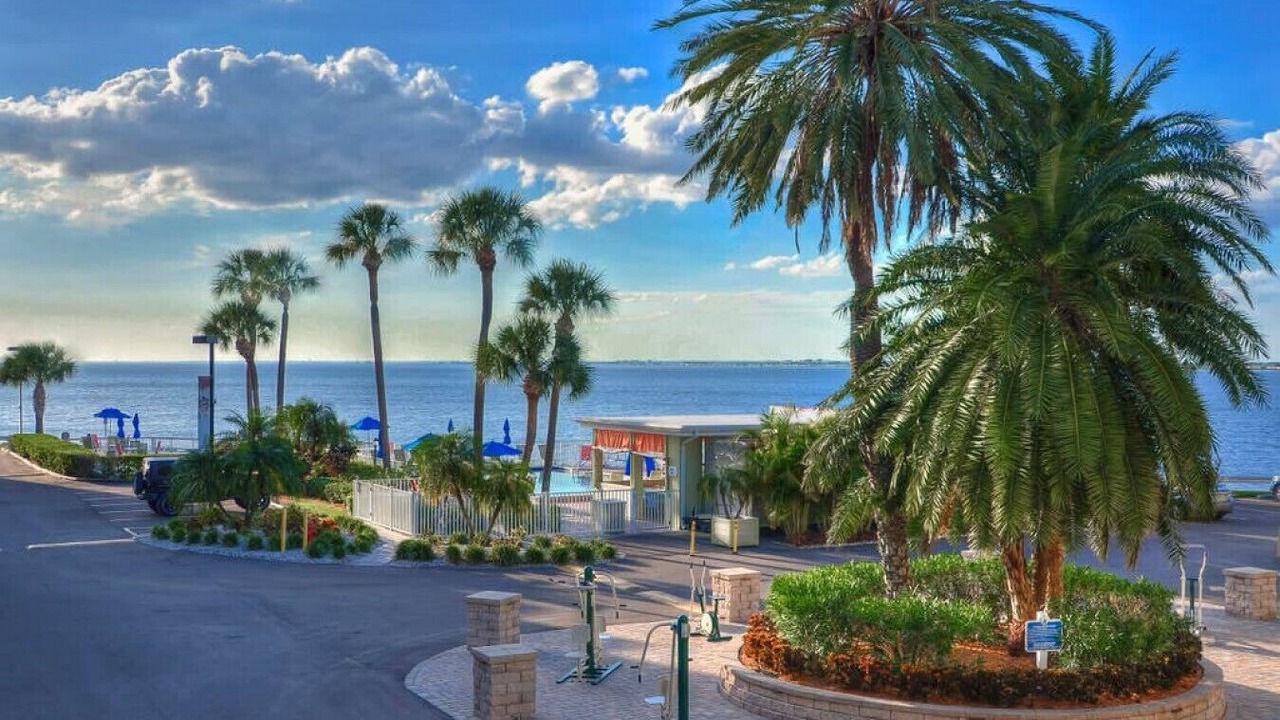 Photo of Others in Rocky Point