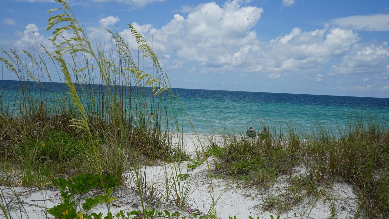 Photo of Others in Indian Rocks Beach