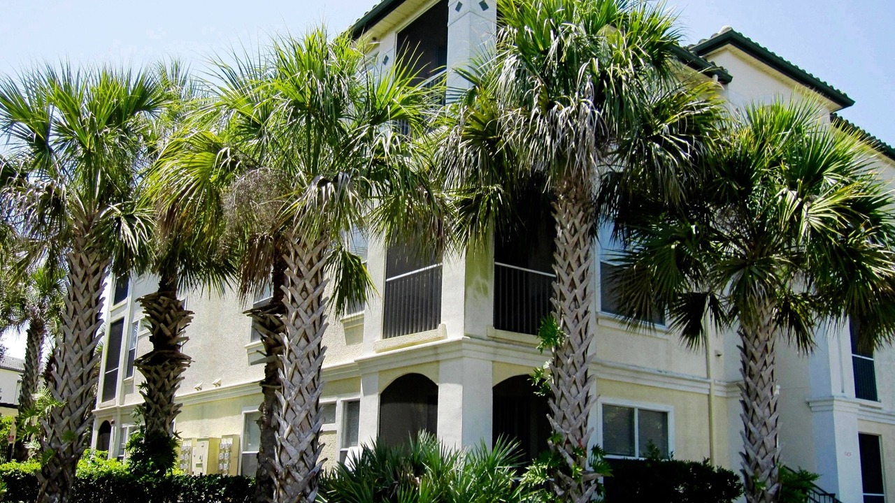 Photo of Others in West Kissimmee