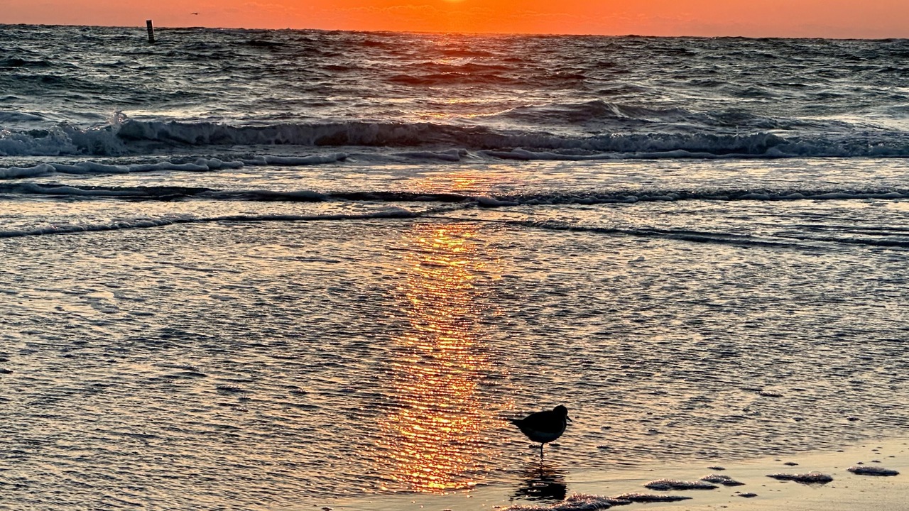 Photo of Others in Whitney Beach