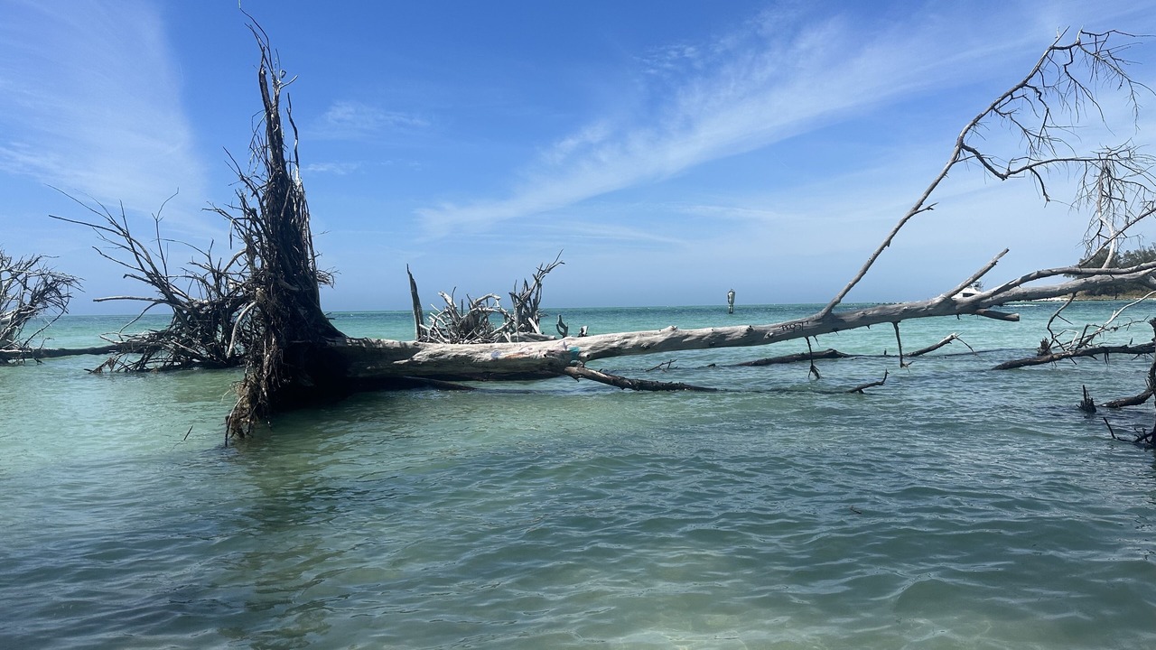 Photo of Others in Whitney Beach