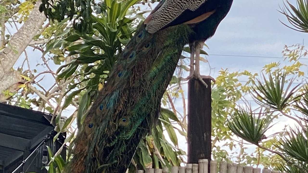 Photo of Outdoor in Whitney Beach