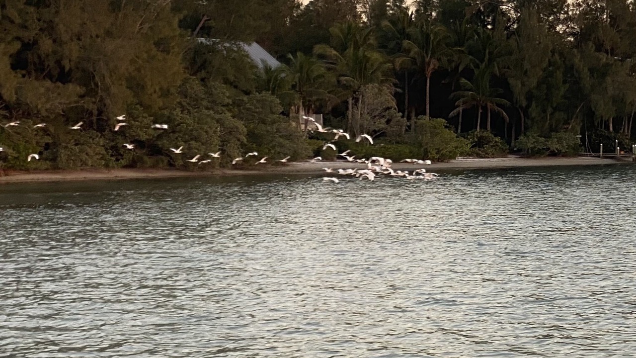 Photo of Others in Whitney Beach