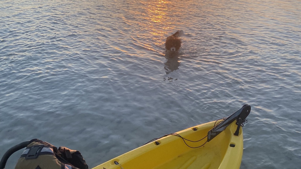 Photo of Others in Whitney Beach