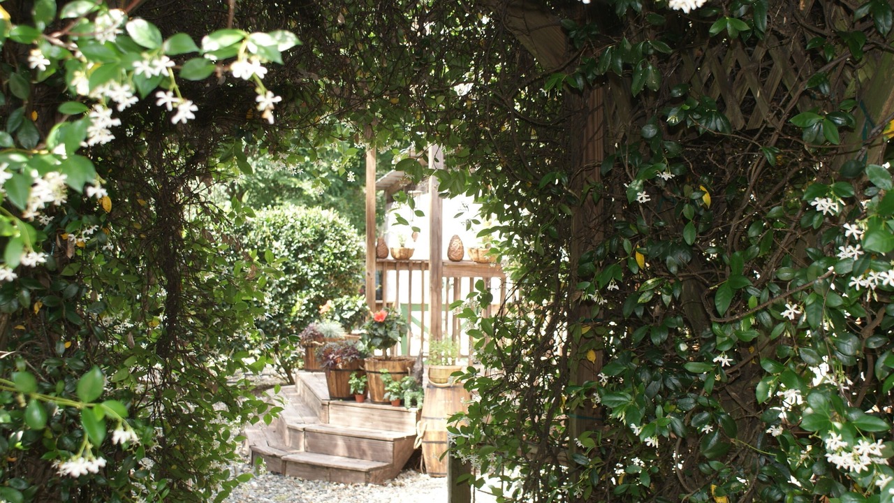 Photo of Outdoor in Brooksville