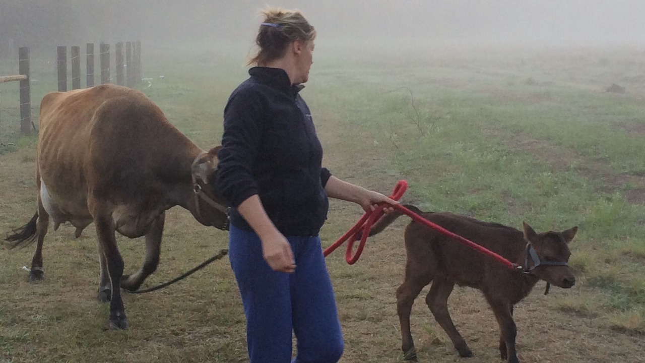 Photo of Others in Brooksville