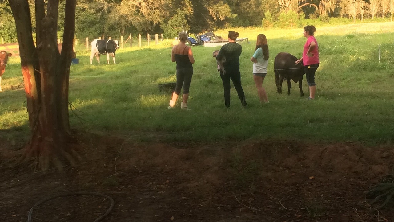 Photo of Others in Brooksville