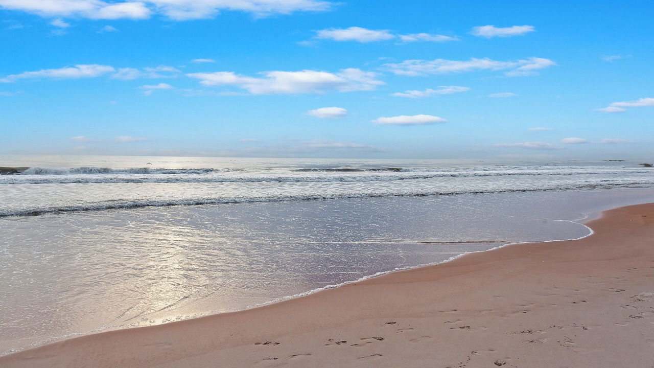 Photo of Others in Ormond Beach
