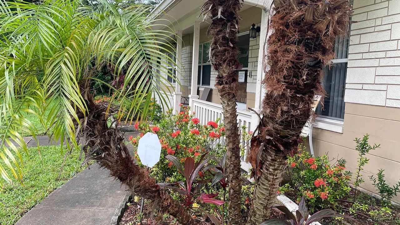 Photo of Outdoor in Pinellas Park