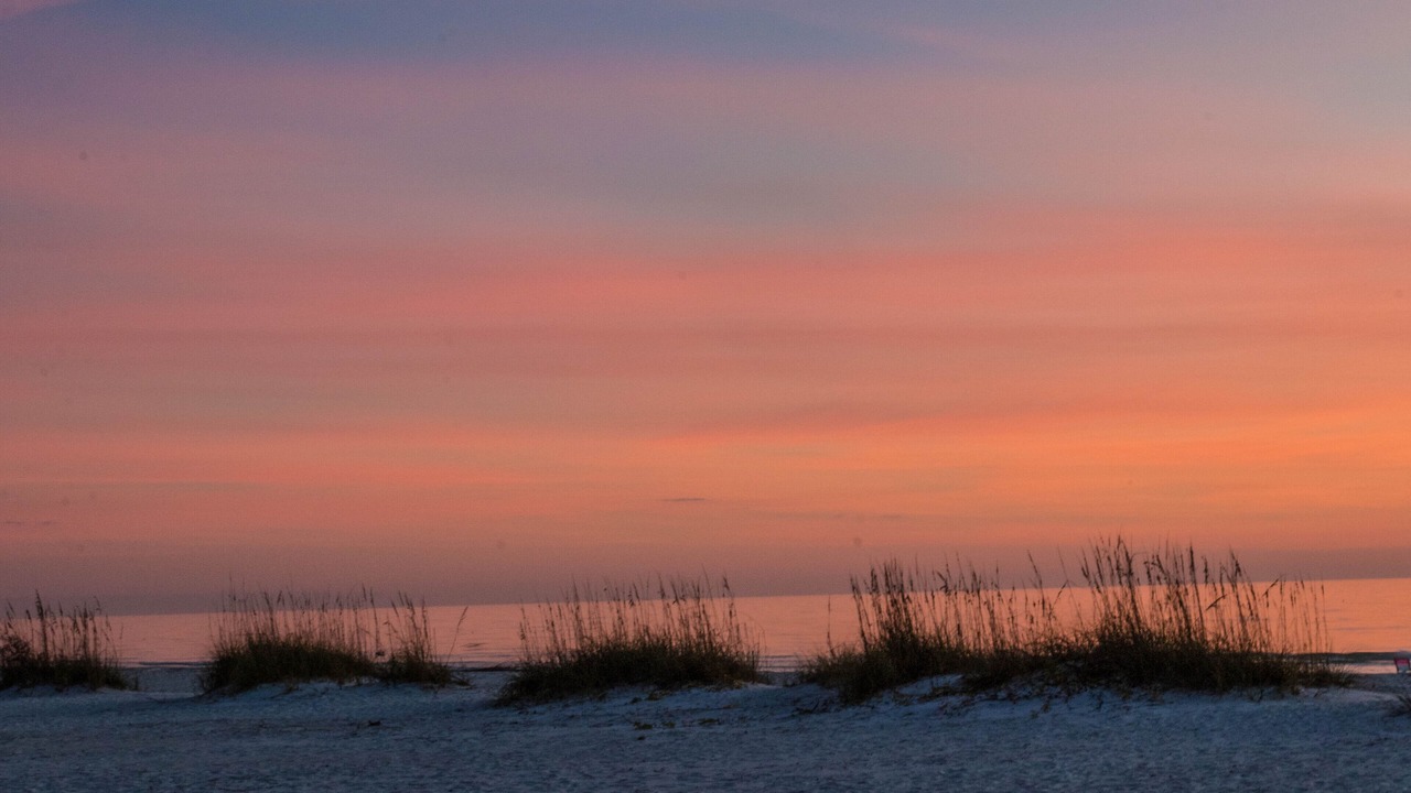 Photo of Others in Bradenton Beach