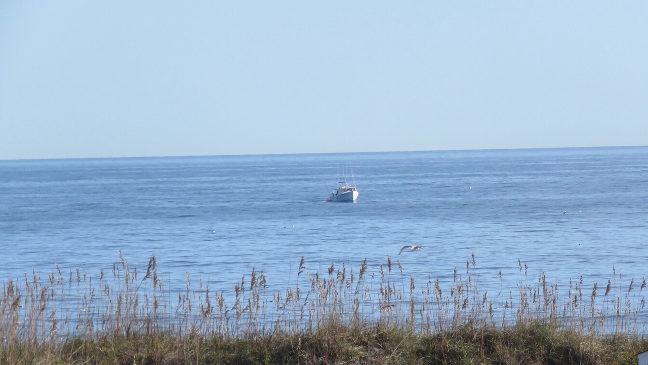 Photo of Others in South Nags Head