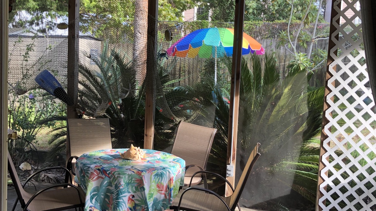 Photo of Outdoor in Cedar Key