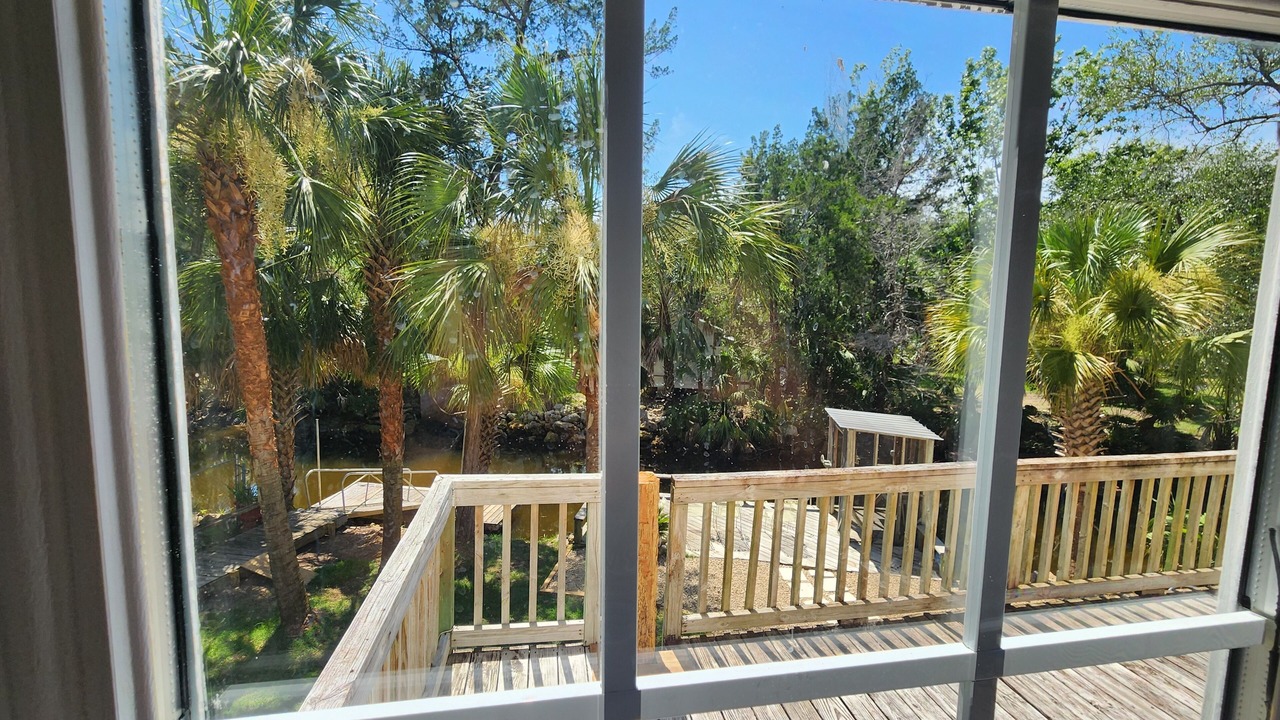 Photo of Others in Steinhatchee